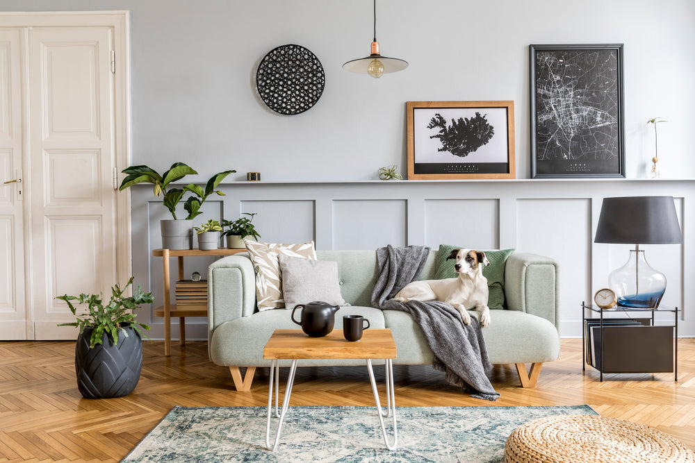 Wall Panelling Styles Trending in 2026